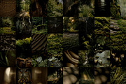 The Naturalist Social Media Bundle, a Social Media Template by The Flossy Finch (Thumbnail 18 of 22)
