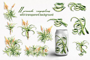 Aloe Watercolor Collection, a Decorative Illustration by WatercolorElena (Thumbnail 5 of 11)