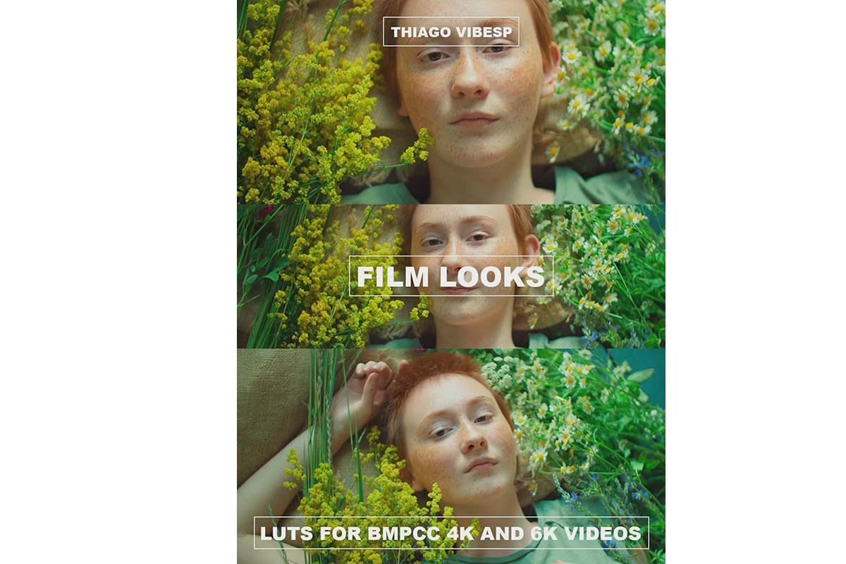 Film Blackmagic Cameras LUTs, a Preset Add-On by Creative House (Photo 2 of 3)