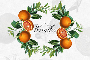 Vintage Orange Citrus Collection