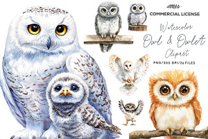 Watercolor Owl & Owlet Clipart, an Illustration by CreationArt