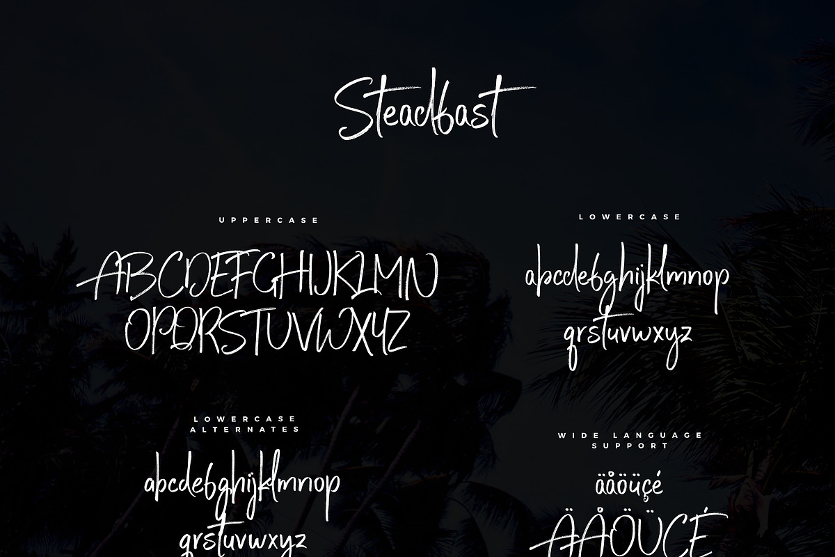 Steadfast Script, a Script Font by Mats-Peter Forss (Photo 10 of 10)