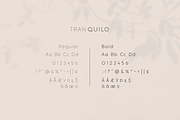 Tranquilo Boho | Font Duo, a Script Font by Vanem Studio (Thumbnail 12 of 14)
