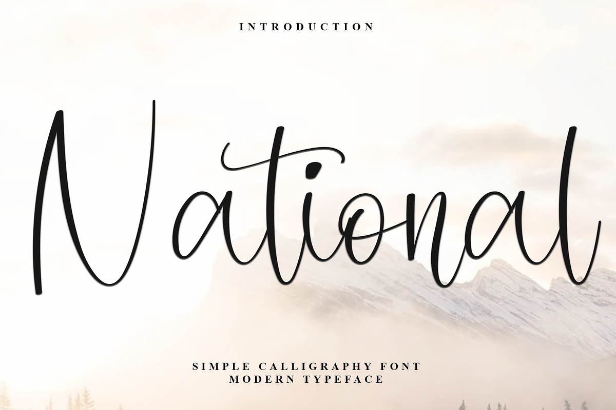 National, a Handwritten Font by FreshTypeINK (Photo 1 of 7)