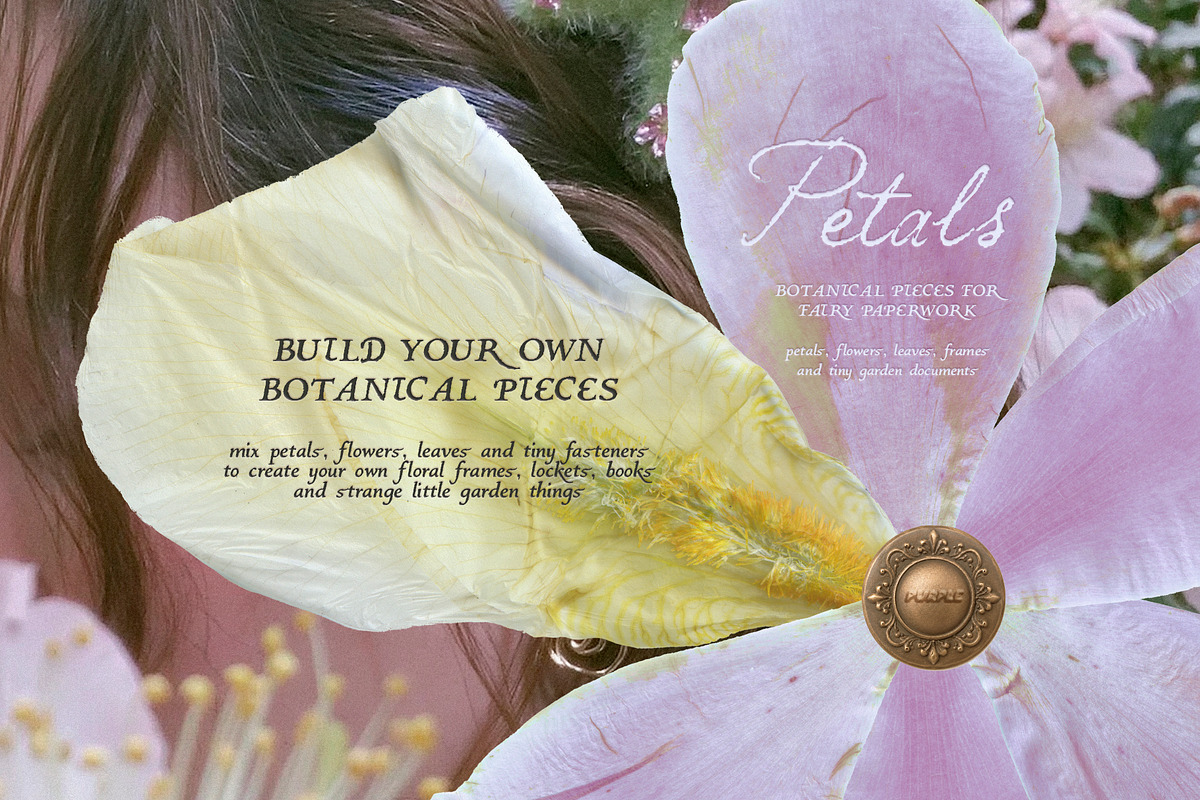 Petals Garden Collage Kit, an Object Graphic by Purple (Photo 13 of 15)