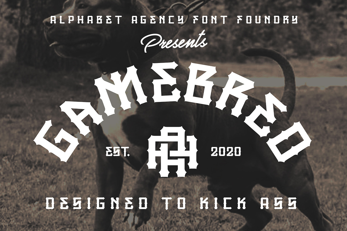 GAMEBRED FONT