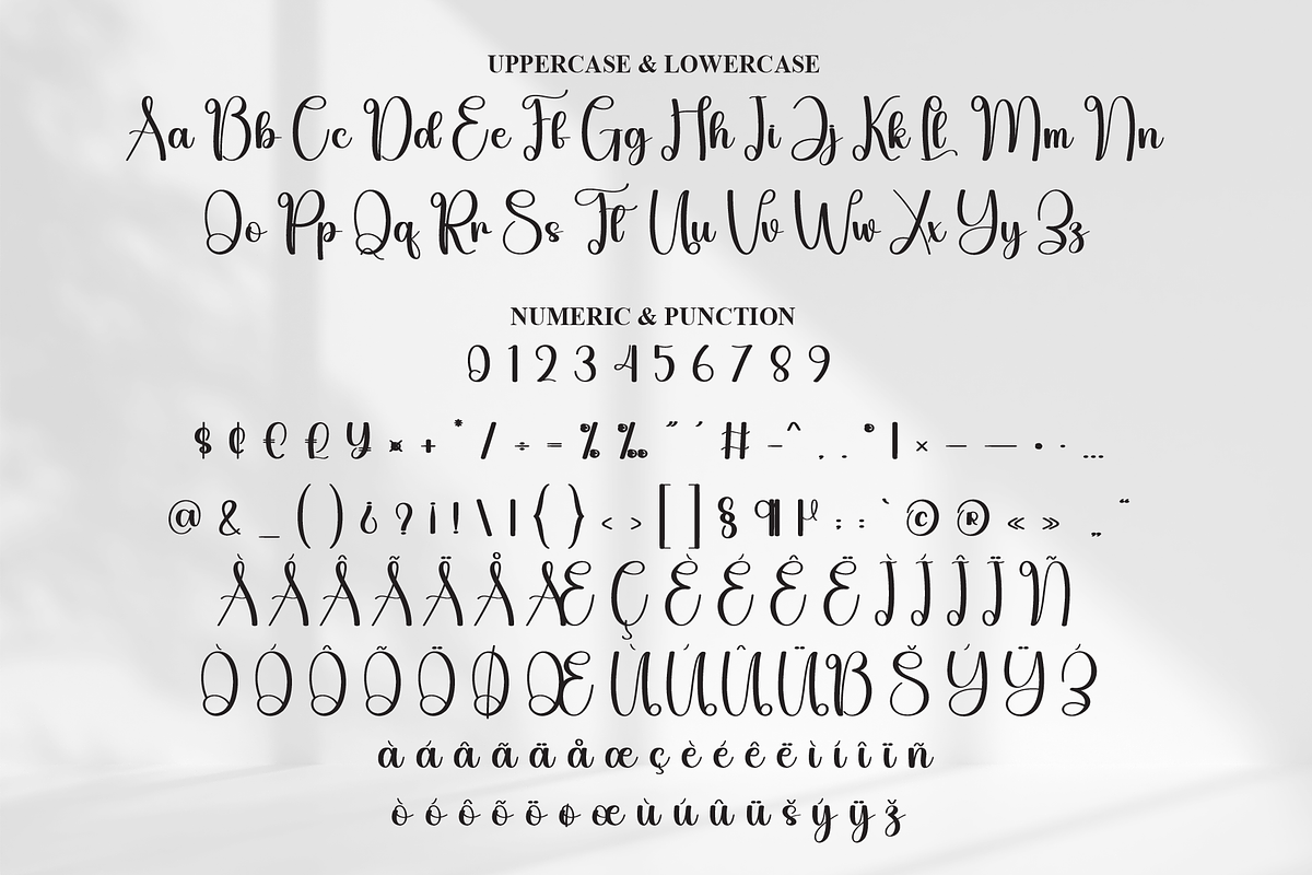 Alphabet | Script Font, a Handwritten Font by Scratchones (Photo 7 of 9)