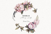Watercolor Dahlia Floral Elements, a Decorative Illustration by Damian Roh (Thumbnail 12 of 12)