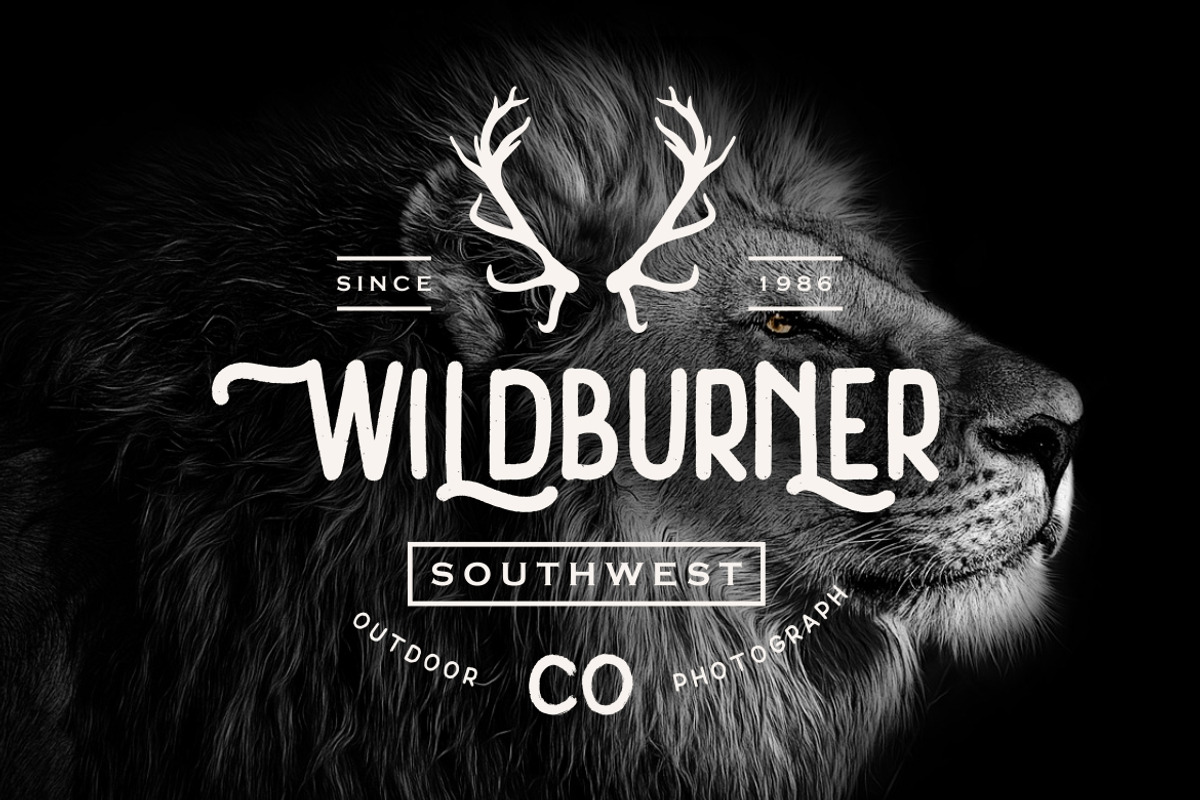Thrello Monoline Brush Business Font preview 5