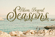 Ornavelle - Bloom Beautifully, a Script Font by HypeWorksCo (Thumbnail 12 of 22)