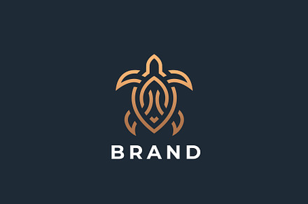 Turtle logo design.