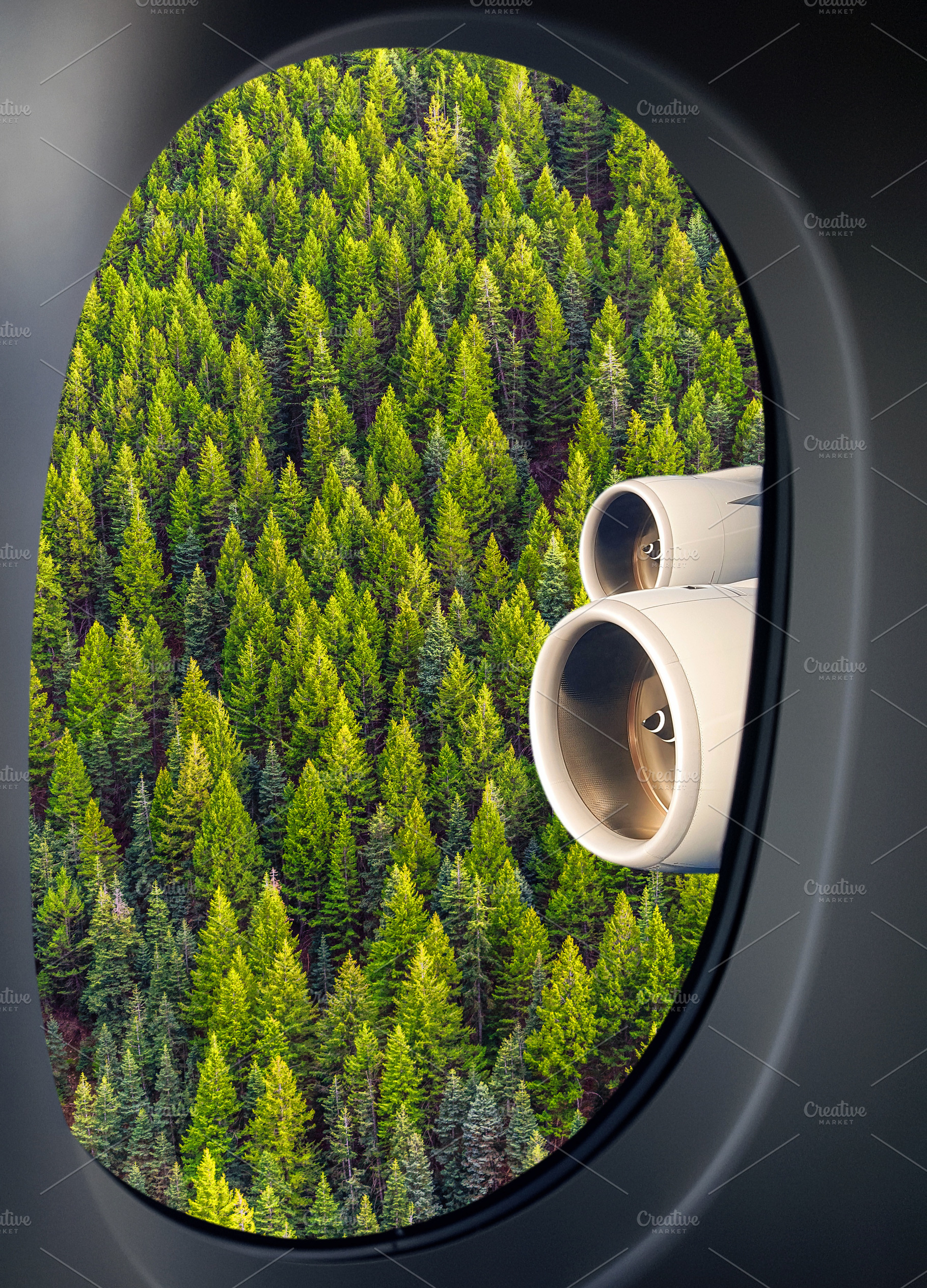 Forest trees through airplane window, a Nature Photo by BOOCYS