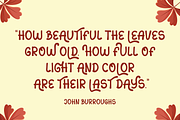 Sans Autumn - Display Font, a Sans Serif Font by Illushvara Design (Thumbnail 2 of 8)