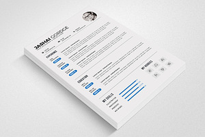 Clear MS Word Resume CV