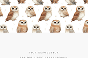 Owl Seamless Pattern, a Decorative Illustration by Pati Charm Studio (Thumbnail 5 of 7)