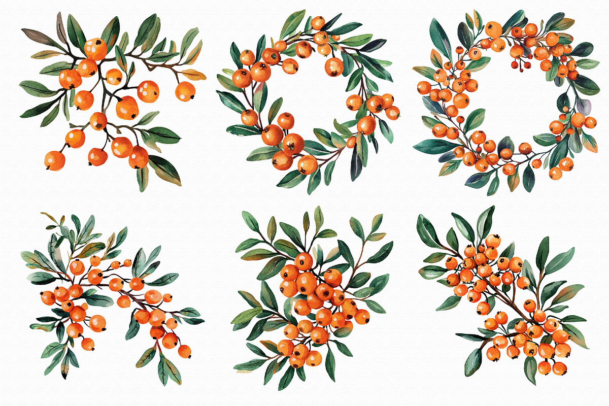 Watercolor Sea Buckthorn berry Clipa, an Illustration by Libby Wishes (Photo 4 of 7)
