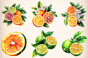 46 watercolor-citrus-fruit-clipart, an Illustration by GatewayDesign (Thumbnail 2 of 9)