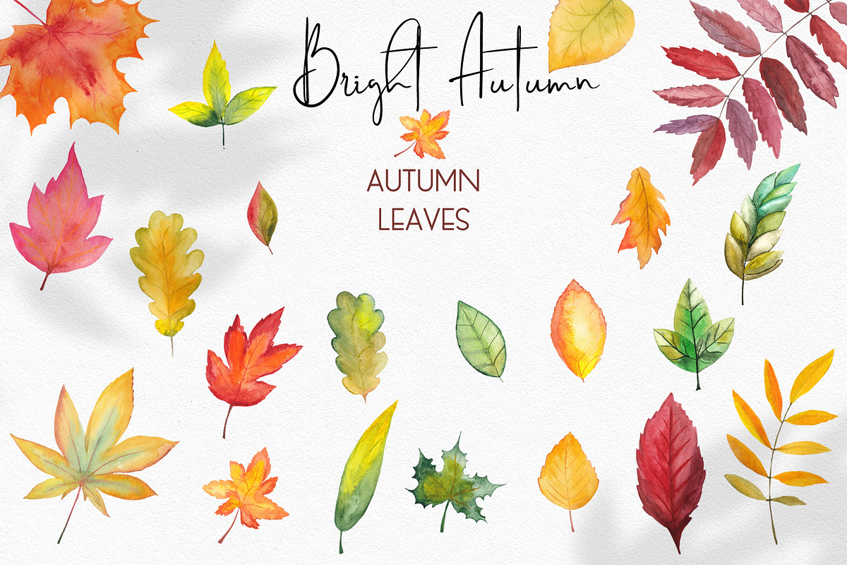 Watercolor Bright Autumn, an Object Graphic by Ana-Sakuta (Photo 7 of 10)