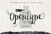 Sortdecai Handmade Script and Bonus, a Script Font by Swistblnk Std. (Thumbnail 4 of 6)