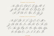 Saint Viet | Calligraphy Font, a Script Font by Calamar Studio (Thumbnail 11 of 29)