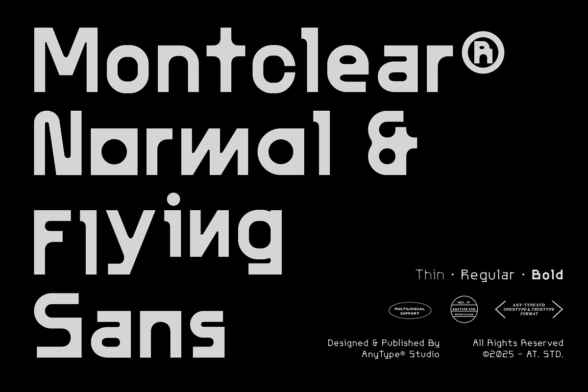 AT Montclear, a Sans Serif Font by Any-Type® Foundry (Photo 1 of 14)