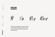 TT Berlinerins, a Sans Serif Font by TypeType (Thumbnail 11 of 15)