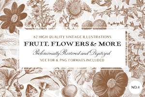 62 Fruit, Flowers & More No.4