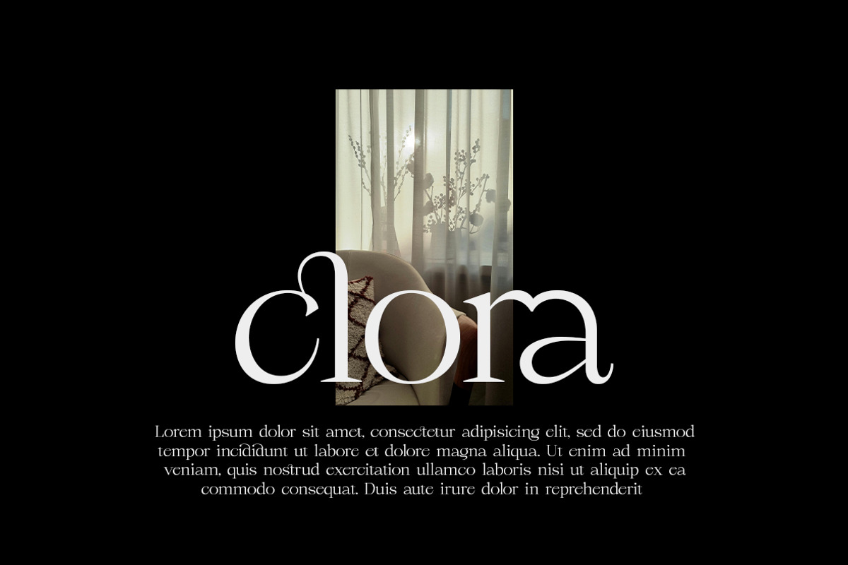 Rouncile - Clean Display Serif, a Serif Font by InkwellTypeCo (Photo 2 of 11)