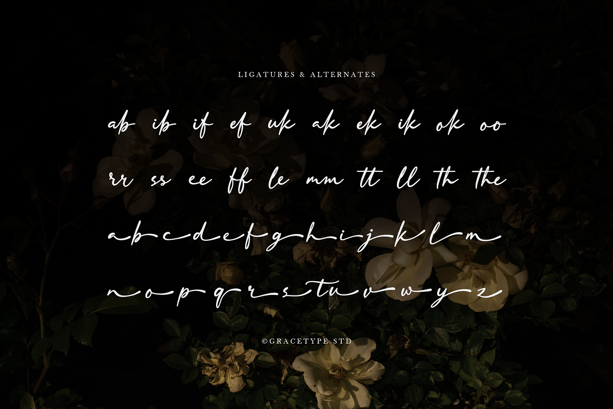 Dekalea | Elegant Signature Script, a Script Font by gracetype_studio (Photo 12 of 12)