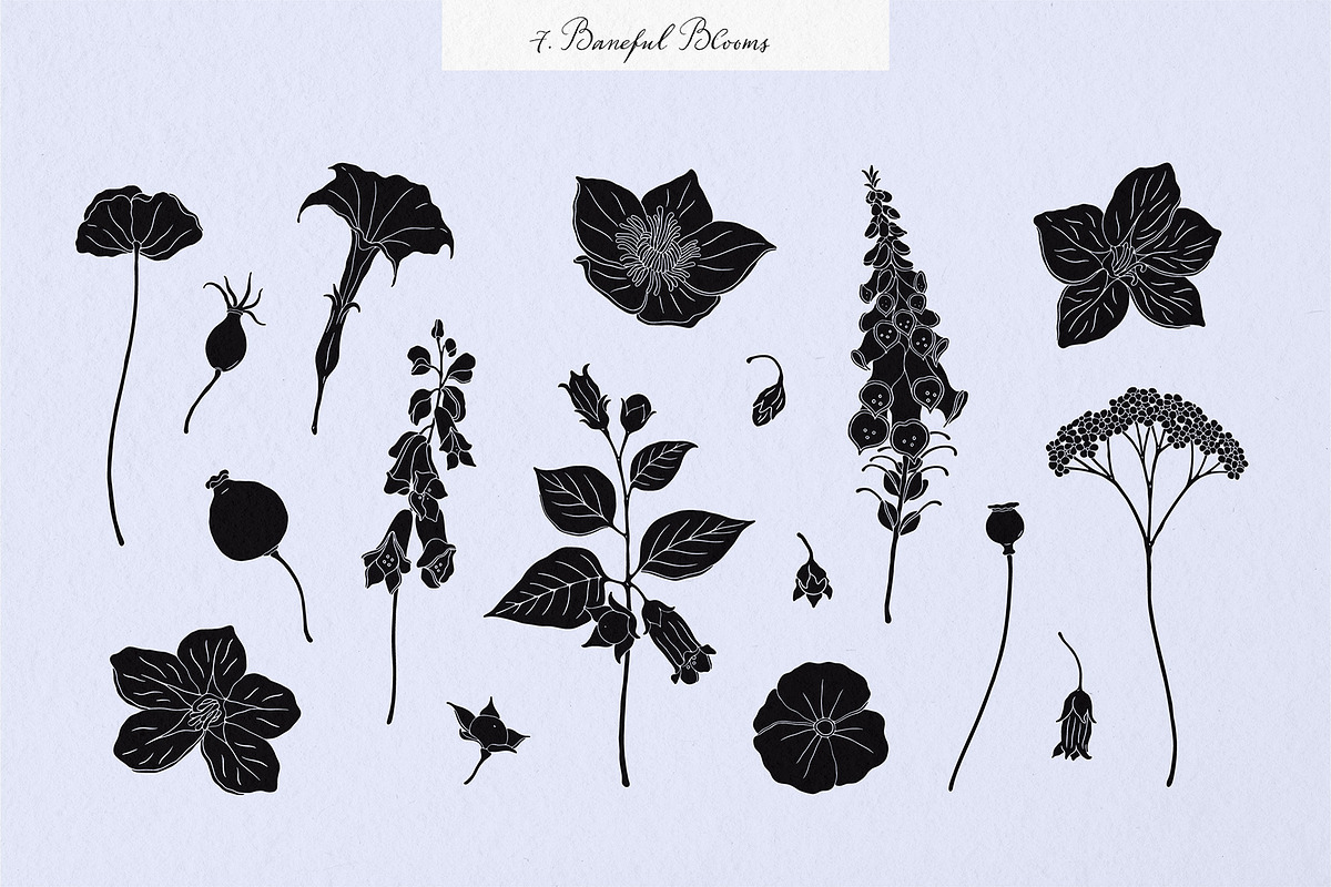 Enchanted Wonders 2 in 1 Graphic Set, a Decorative Illustration by rouxsupplyco (Photo 9 of 19)