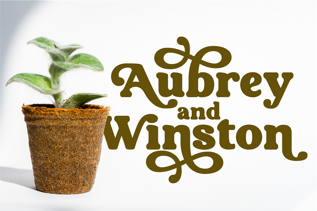 Aubergine - Modern Bold Serif, a Serif Font by Fridaytype (Photo 5 of 9)