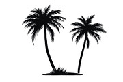 Tropical Palm Tree Bundle, an Illustration by BIPLOB EXPERT (Thumbnail 12 of 21)