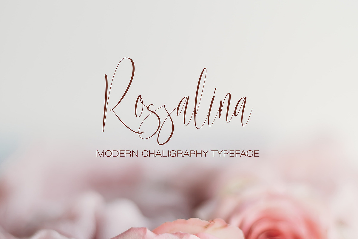 Solirenta Internal, a Script Font by pineungtype (Photo 4 of 10)