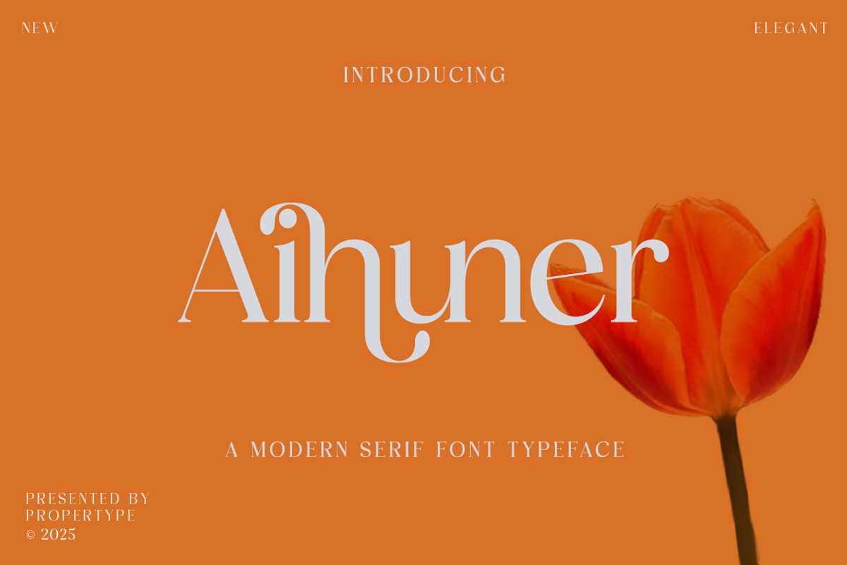 Aihuner, a Serif Font by Propertype (Photo 1 of 10)