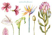 Watercolor Tropical Leaves & Flowers, an Illustration by babenkoirusa (Thumbnail 3 of 17)