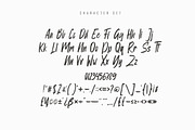Mattolla - Handbrush Script Font, a Script Font by skiiller studio (Thumbnail 6 of 8)