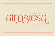 aimstesa stylish serif font, a Serif Font by Storytype Studio (Thumbnail 1 of 15)