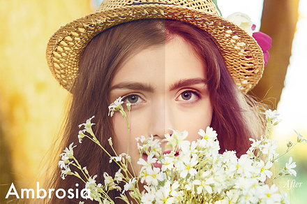 Ambrosia - Photoshop Action