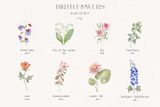 Birth-Flowers. Watercolor & Line Art, a Decorative Illustration by Designwork (Thumbnail 3 of 14)