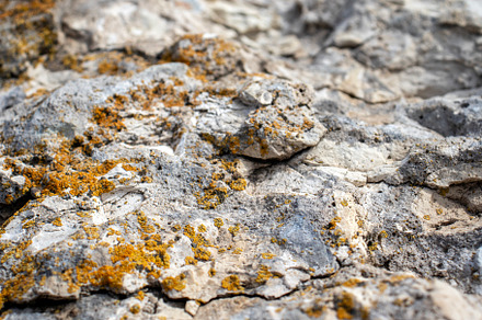 Moss on destroyed concrete, close-up, an Abstract Photo by Schreibikus