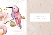 Watercolor Tropical Collection, an Illustration by Les Frolova (Thumbnail 7 of 14)