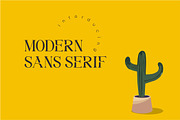 Medifa Font | Beautifull Serif Font, a Serif Font by WhymoreArt (Thumbnail 4 of 10)