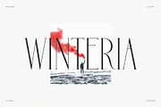 Holipop || Modern Serif Font, a Serif Font by BrandSemut (Thumbnail 4 of 5)