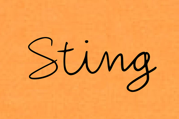 Sting - Handwritten Script Font preview 5