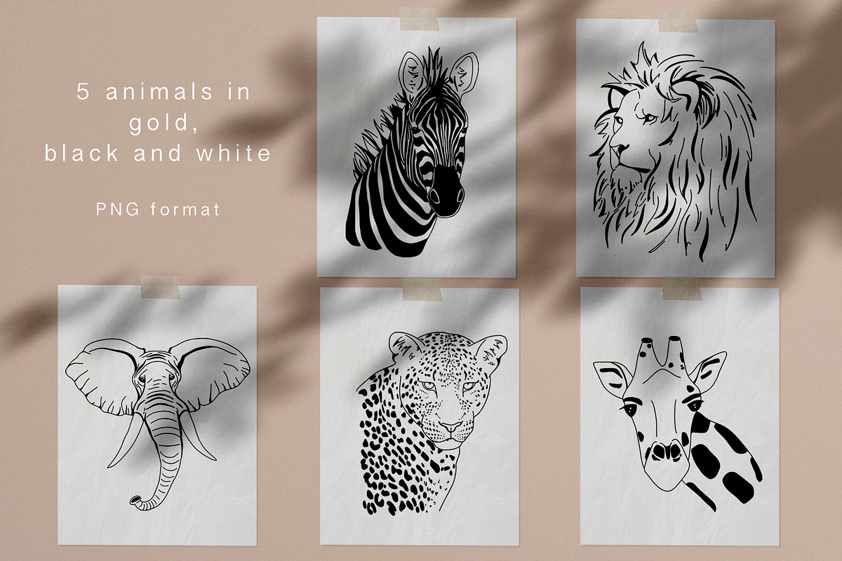 African animals. Line art collection, an Object Graphic by Vera●Suleimanova (Photo 4 of 16)