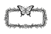 Butterfly Floral Frame SVG Bundle, an Illustration by Creativeshirt (Thumbnail 23 of 31)