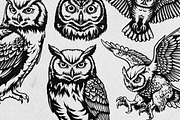 Owl Illustration Pack, an Animal Illustration by Tekuni (Thumbnail 3 of 12)