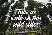 Allora, a Script Font by Wesley Barnes (Thumbnail 5 of 8)