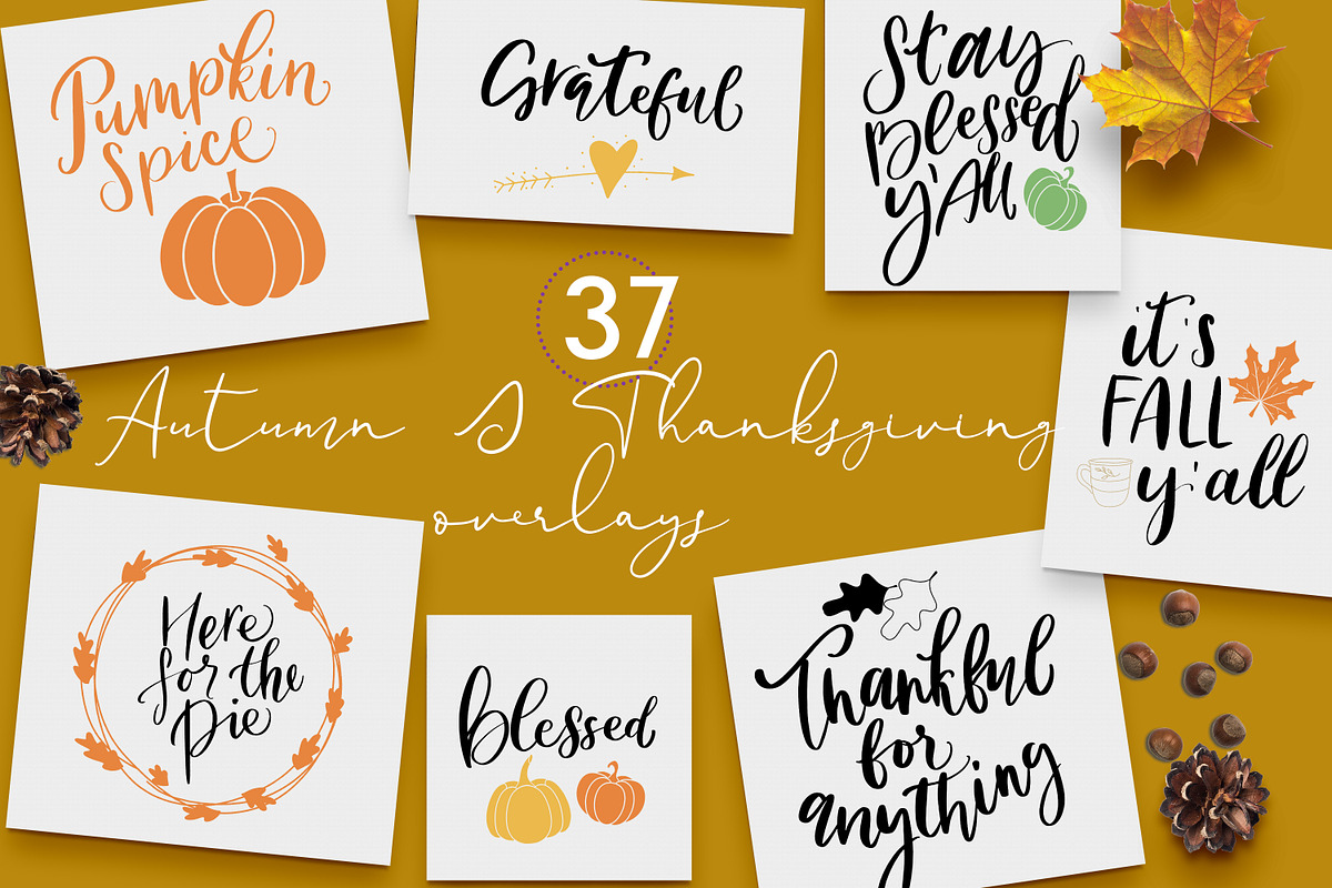 Autumn lettering and illustrations, an Illustration by Art pages (Photo 3 of 13)