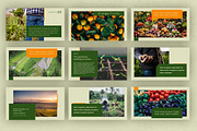 Google Slide - Agrogreen Plantation, a Presentation Template by Yolk Vibes (Thumbnail 7 of 9)